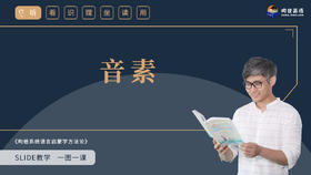 5 音素_new_file(1)_x264