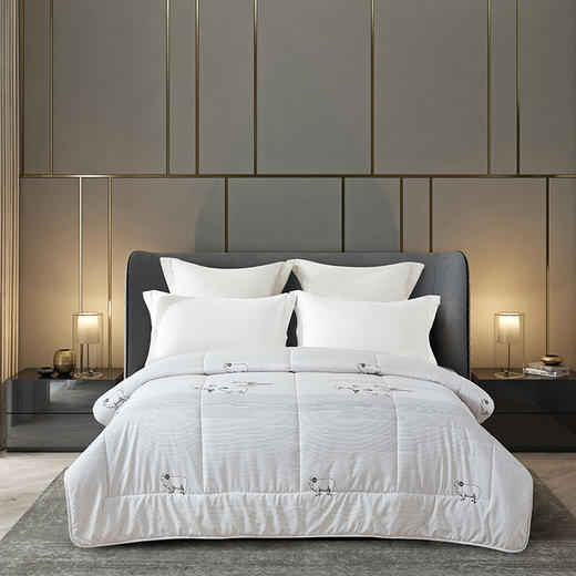 博洋家纺BEYOND  轻暖羊毛被 200*230cm 商品图0