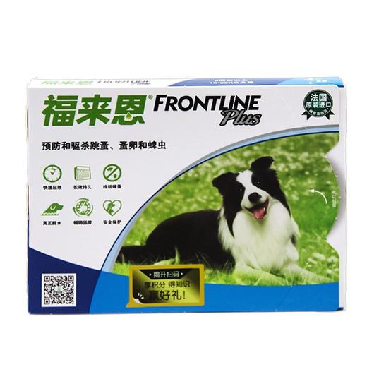 福来恩 中号 商品图0