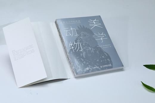 探索设计中的灵感 动物美学 商品图7