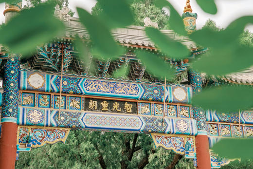 何来“九国贩骆驼的” 商品图0