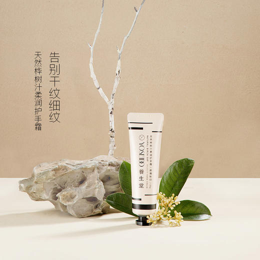 【第二支半价】养生堂天然桦树汁四季护手霜30g 商品图1