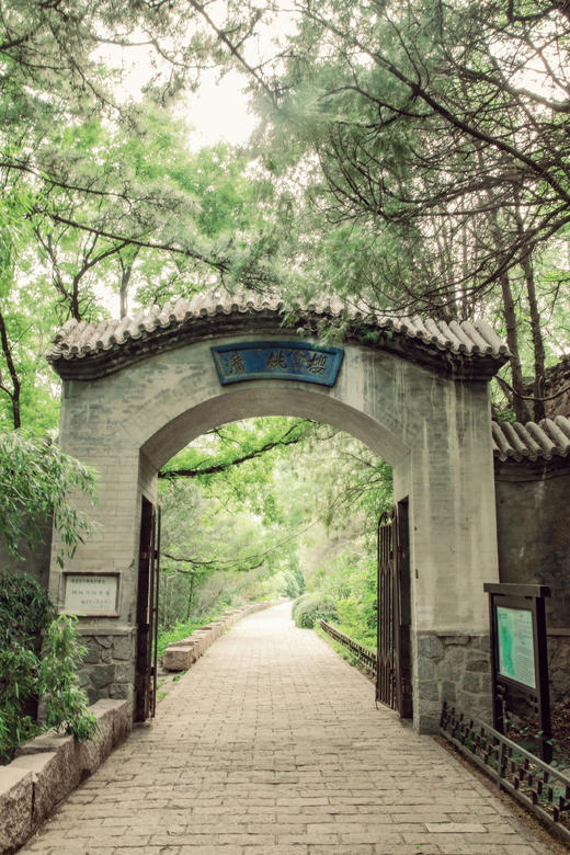 樱桃沟 商品图0