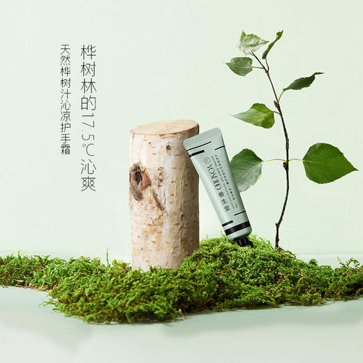 【第二支半价】养生堂天然桦树汁四季护手霜30g 商品图4