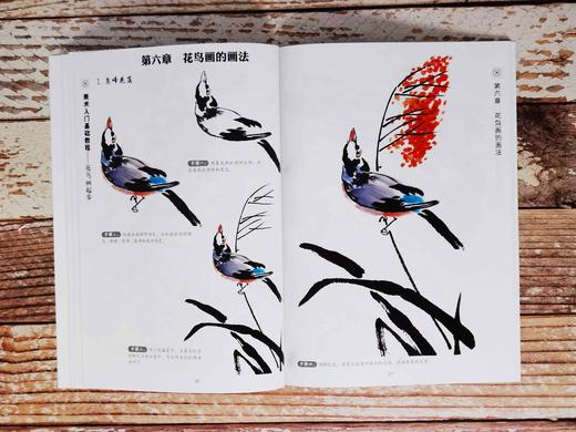 美术入门基础教程——花鸟画起步 商品图7