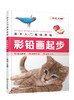 美术入门基础教程——彩铅画起步 商品缩略图0