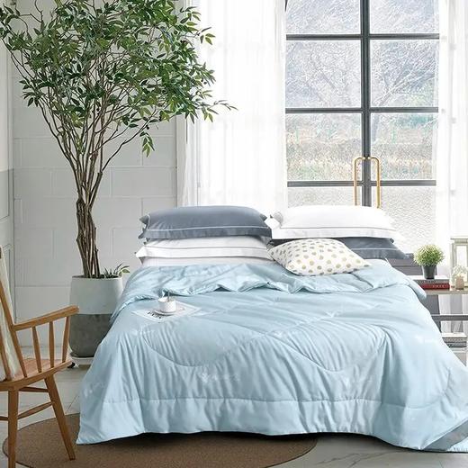 喜芙妮胶原蛋白抗菌被～XF-B2003/B2005 商品图0