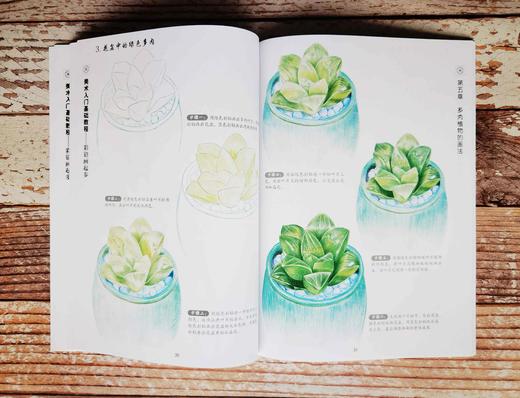 美术入门基础教程——彩铅画起步 商品图5