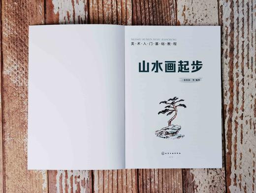 美术入门基础教程——山水画起步 商品图2
