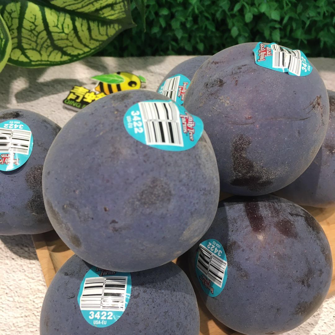 特级美国夜玫瑰恐龙蛋