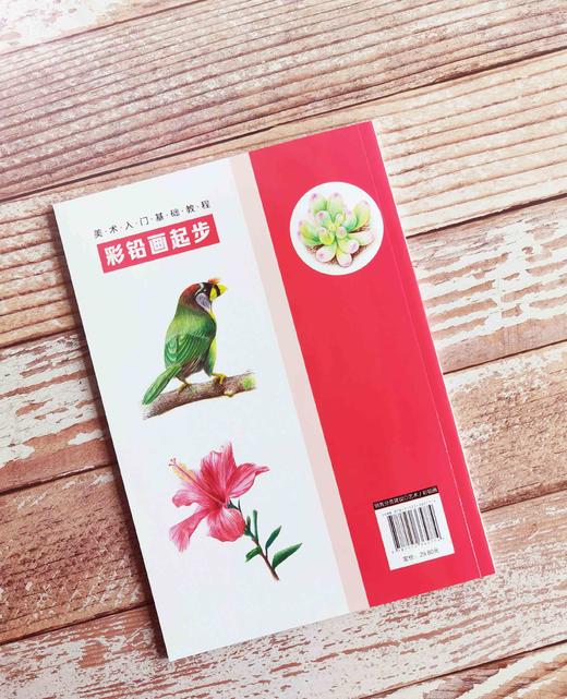 美术入门基础教程——彩铅画起步 商品图2