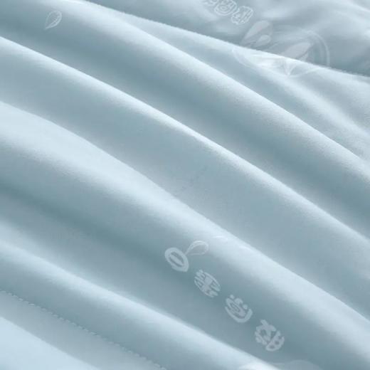 喜芙妮胶原蛋白抗菌被～XF-B2003/B2005 商品图2