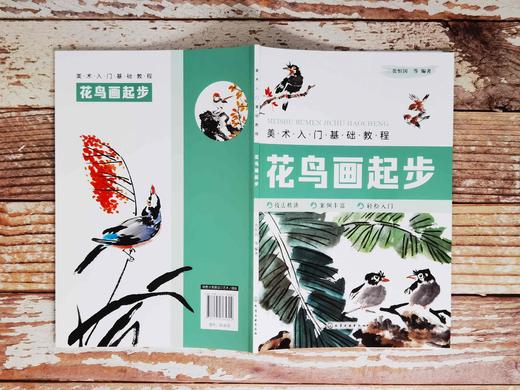 美术入门基础教程——花鸟画起步 商品图2