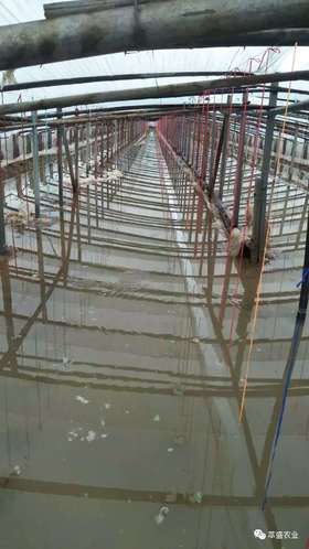 雨水进棚后解决措施