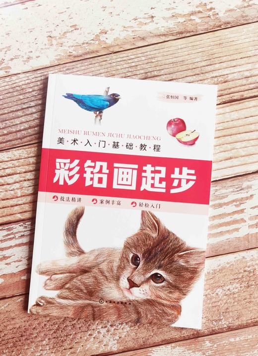 美术入门基础教程——彩铅画起步 商品图1