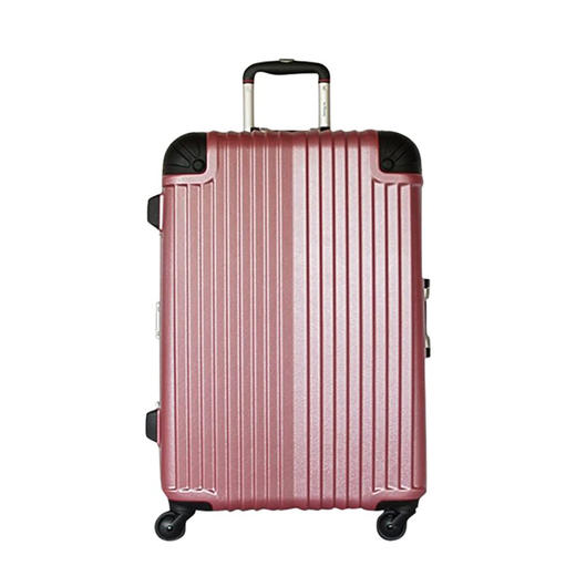 BB怪物手提箱轻架TSA锁旅行袋旅行袋携带袋Genbu 商品图8