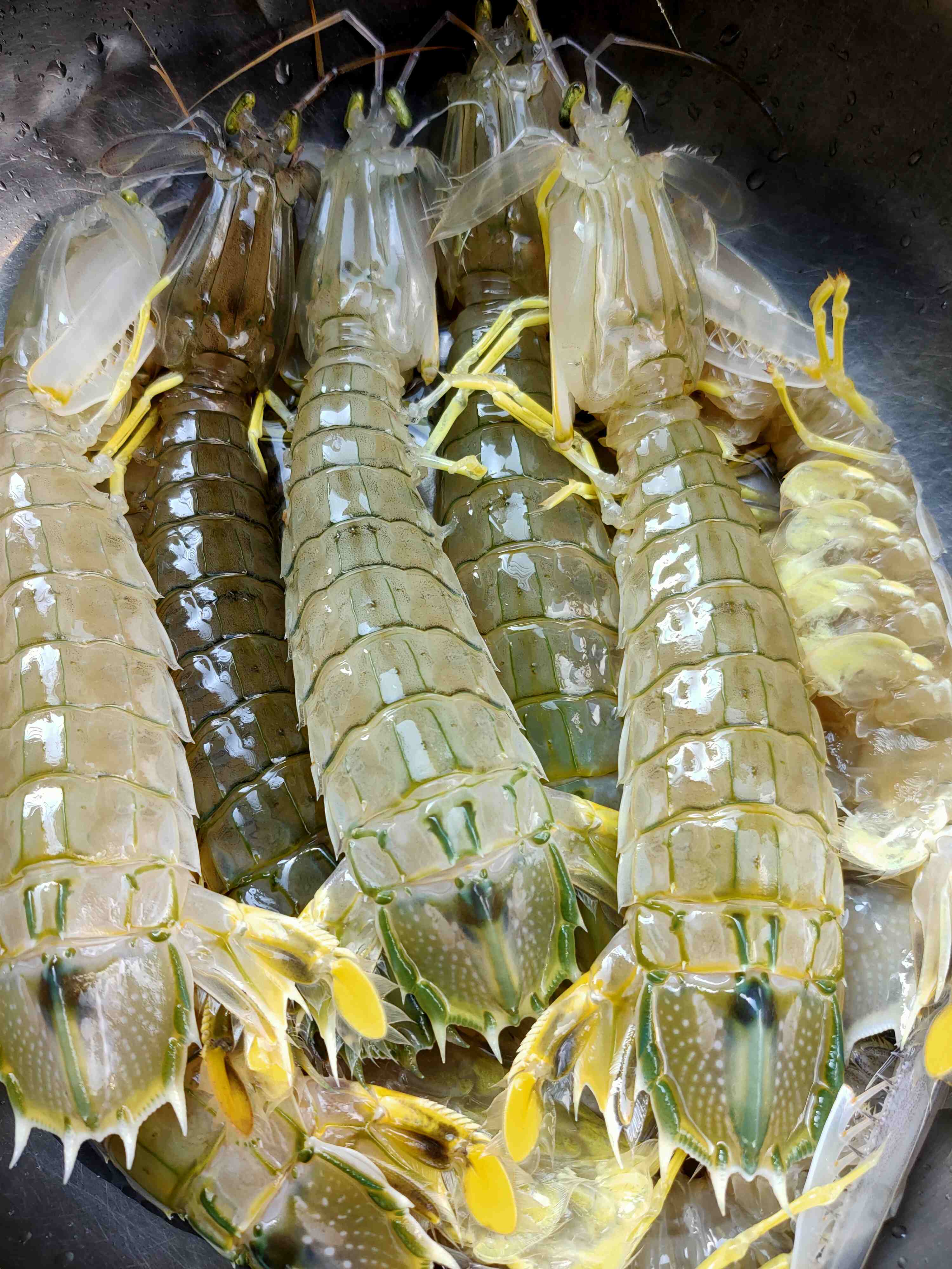 美辉龙海鲜马王堆总店