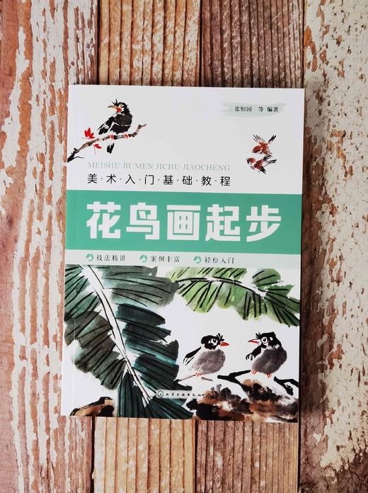 美术入门基础教程——花鸟画起步 商品图4
