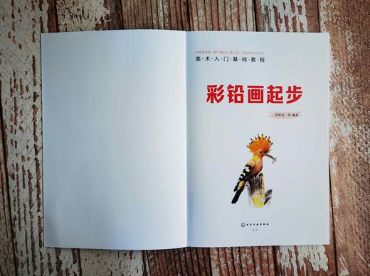 美术入门基础教程——彩铅画起步 商品图7