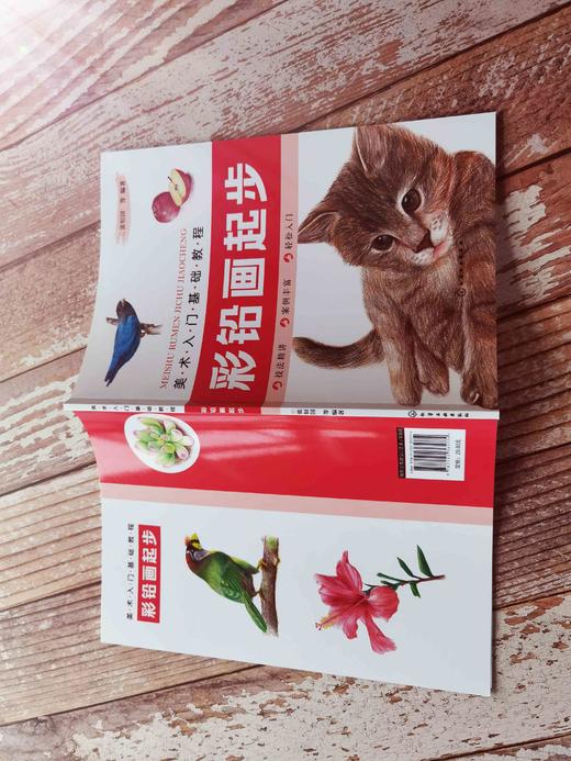 美术入门基础教程——彩铅画起步 商品图9