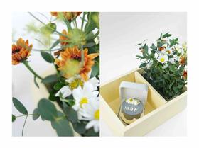 莎朗嘿哟！表白盒