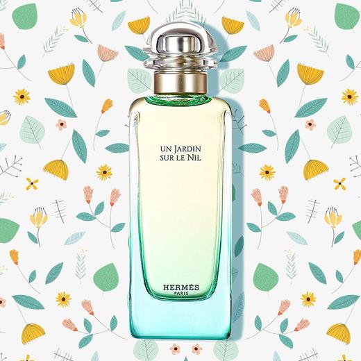 爱马仕Hermes尼罗河花园香水花果香女士淡香水30ml/100ml 商品图1