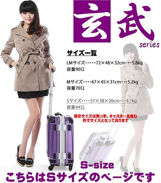 BB怪物手提箱轻架TSA锁旅行袋旅行袋携带袋Genbu 商品图0