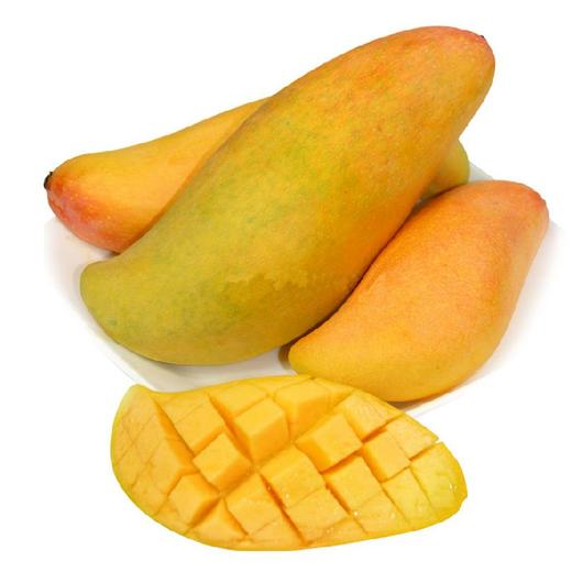 象牙芒 长春 商品图0