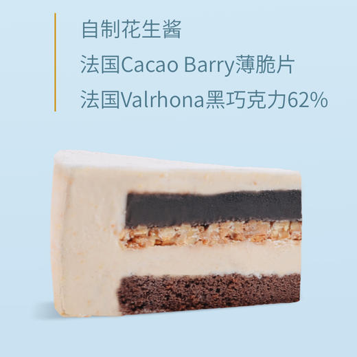 咸花生巧克力冰淇淋（冷冻） 商品图0