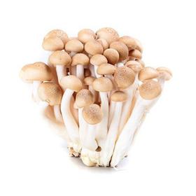 蟹味菇     250g/份