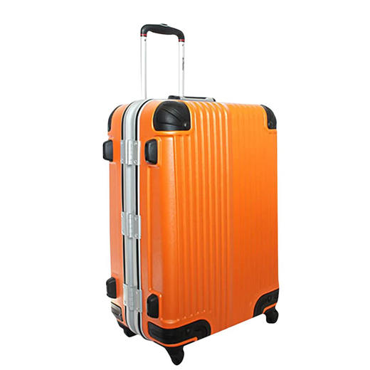 BB怪物手提箱轻架TSA锁旅行袋旅行袋携带袋Genbu 商品图5