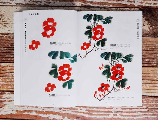 美术入门基础教程——花鸟画起步 商品图3