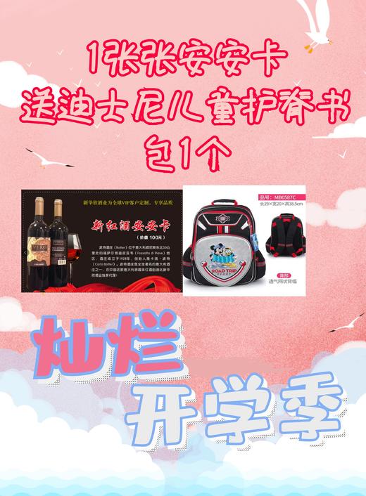 1张张安安卡送迪士尼儿童护脊书包1个 商品图0