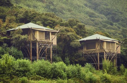 云南"美空云雀"高黎贡野奢营地之旅3天2晚 商品图0