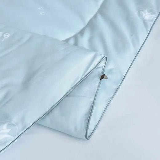 喜芙妮胶原蛋白抗菌被～XF-B2003/B2005 商品图3