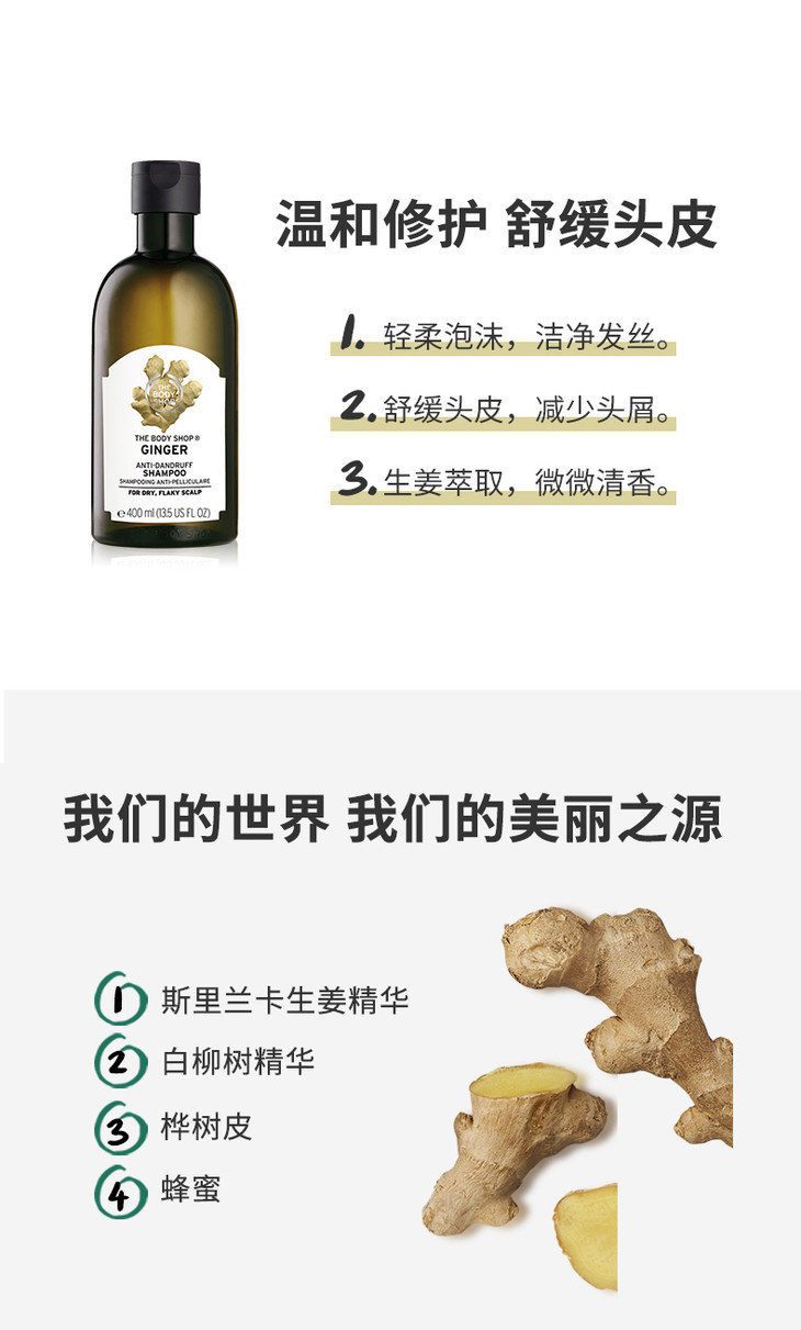 生姜头皮修护洗发露_02.jpg