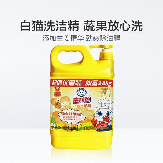 白猫生姜洗洁精   1.096kg/瓶 商品图2