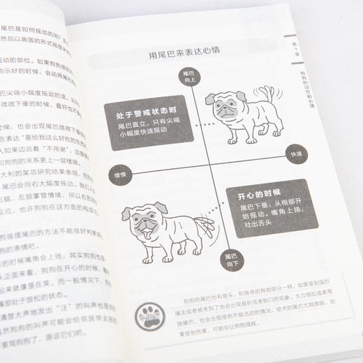 看图读懂狗狗心理 商品图13