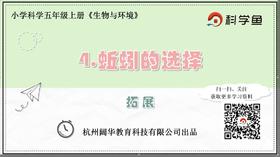 5.1.4《蚯蚓的选择》拓展延伸课程