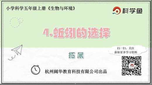 5.1.4《蚯蚓的选择》拓展延伸课程 商品图0