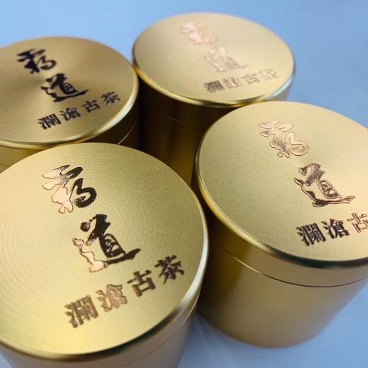 澜沧古茶2020年霸道金罐品鉴装 10g 布朗普洱茶生茶勐海 商品图0