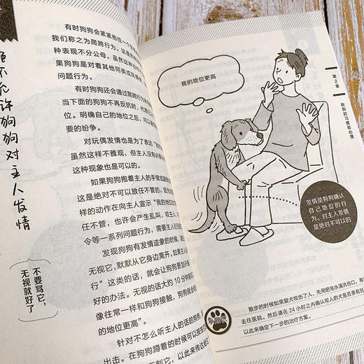看图读懂狗狗心理 商品图6