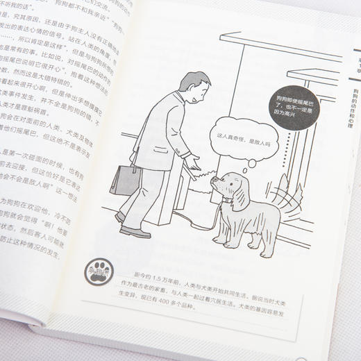 看图读懂狗狗心理 商品图12