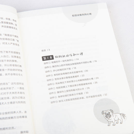 看图读懂狗狗心理 商品图9