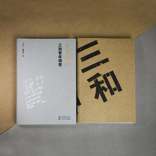 岂不怀归 三和青年调查 田丰 著 社科 人类学社会学 图书 商品图9