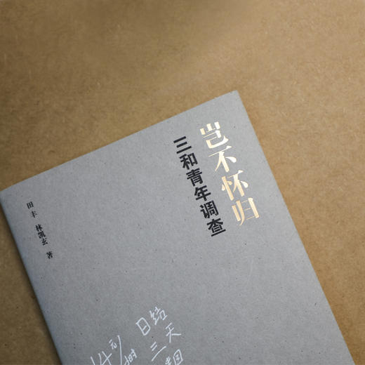 岂不怀归 三和青年调查 田丰 著 社科 人类学社会学 图书 商品图8