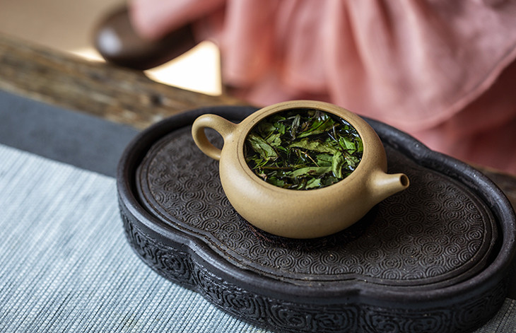 茶香记 枞前老树寿眉2020年福鼎白茶 张广泰 老枞春茶 甜柔醇滑