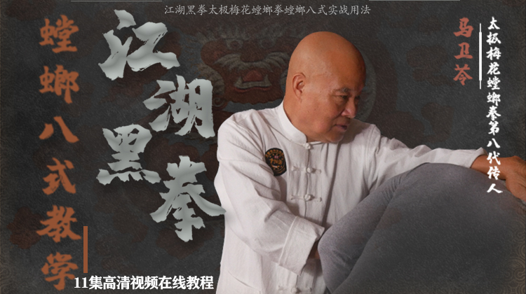 螳螂八式实战用法系统教学