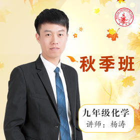 2020秋季杨涛九年级化学