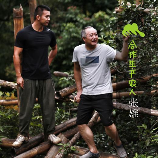 生态茶·头春生普茶饼 | 公平贸易*Eco-Raw pu'er tea  | Fair trade 商品图4